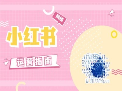 小红书运营指南，没有套路，全是经验-葛仙仙资源库
