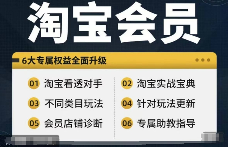 淘宝会员【淘宝所有课程，全面分析对手】，初级到高手全系实战宝典-葛仙仙资源库