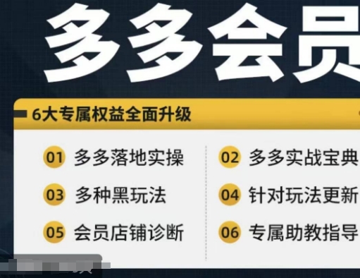 拼多多会员，拼多多实战宝典+实战落地实操，从新手到高阶内容全面覆盖-葛仙仙资源库