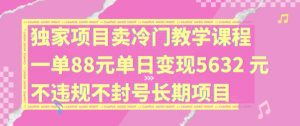 独家项目卖冷门教学课程一单88元单日变现5632元违规不封号长期项目【揭秘】-葛仙仙资源库