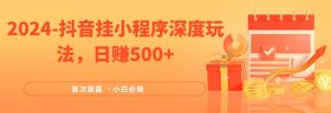 2024全网首次披露,抖音挂小程序深度玩法,日赚500+,简单、稳定,带渠道收入,小白必做【揭秘】-葛仙仙资源库