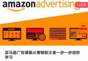亚马逊广告课程,从青铜到王者一步一步进阶学习-葛仙仙资源库