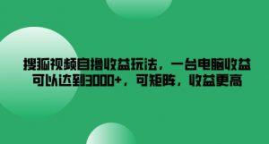 搜狐视频自撸收益玩法,一台电脑收益可以达到3k+,可矩阵,收益更高【揭秘】-葛仙仙资源库