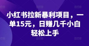 小红书拉新暴利项目,一单15元,日赚几千小白轻松上手【揭秘】-葛仙仙资源库