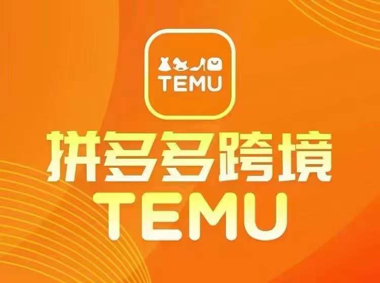 最新TEMU拼多多跨境教程，开店、运营、选品-葛仙仙资源库