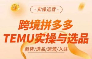 跨境拼多多TEMU实操与选品,多多temu跨境选品运营实操-葛仙仙资源库