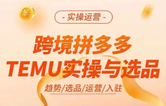 跨境拼多多TEMU实操与选品，多多temu跨境选品运营实操-葛仙仙资源库