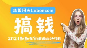 法国闲鱼Leboncoin跨境电商教程：环境邮箱电话解决产品上传及流量，悄悄赚钱【揭秘】-葛仙仙资源库