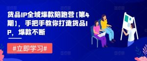 货品IP全域爆款陪跑营【第4期】,手把手教你打造货品IP,爆款不断-葛仙仙资源库