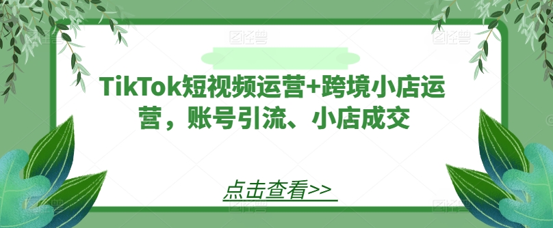 TikTok短视频运营+跨境小店运营，账号引流、小店成交-葛仙仙资源库