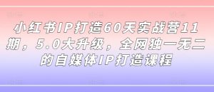 小红书IP打造60天实战营11期,5.0大升级,全网独一无二的自媒体IP打造课程-葛仙仙资源库