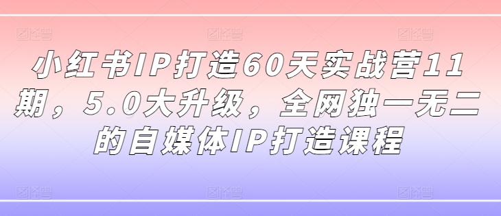 小红书IP打造60天实战营11期，5.0大升级，全网独一无二的自媒体IP打造课程-葛仙仙资源库