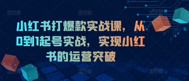 小红书打爆款实战课，从0到1起号实战，实现小红书的运营突破-葛仙仙资源库