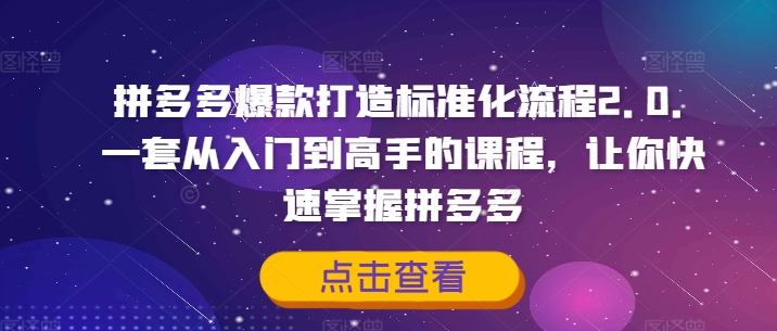 拼多多爆款打造标准化流程2.0，一套从入门到高手的课程，让你快速掌握拼多多-葛仙仙资源库