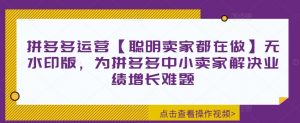 拼多多运营【聪明卖家都在做】无水印版,为拼多多中小卖家解决业绩增长难题-葛仙仙资源库