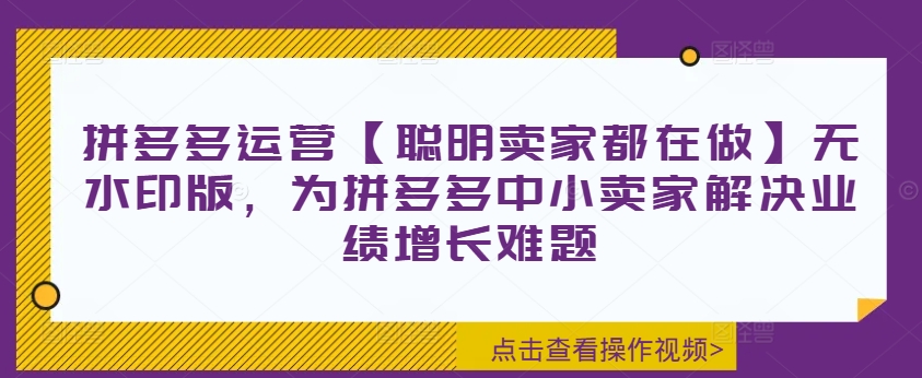 拼多多运营【聪明卖家都在做】无水印版，为拼多多中小卖家解决业绩增长难题-葛仙仙资源库