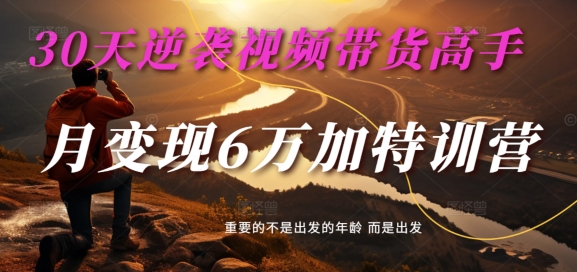 30天逆袭视频带货高手，单月变现6万加特训营-麦子甜-葛仙仙资源库