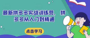 最新拼多多实战训练营, 拼多多从入门到精通-葛仙仙资源库