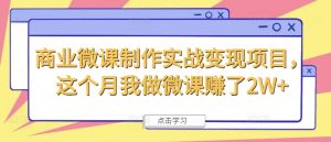 商业微课制作实战变现项目,这个月我做微课赚了2W+-葛仙仙资源库
