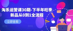 淘系运营课30期-下半年旺季新品从0到1全流程-葛仙仙资源库