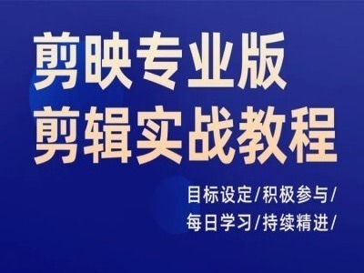 剪映专业版剪辑实战教程，目标设定/积极参与/每日学习/持续精进-葛仙仙资源库