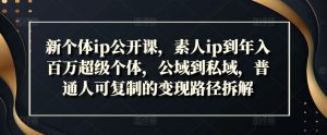 新个体ip公开课,素人ip到年入百万超级个体,公域到私域,普通人可复制的变现路径拆解-葛仙仙资源库