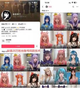 云天二次元美女起号教学,月涨10万粉丝,不判搬运-葛仙仙资源库