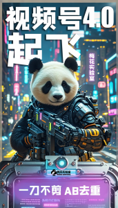 梅花实验窒微信视频号连怼玩法技巧起飞4.0一键AB破解版【揭秘】-葛仙仙资源库