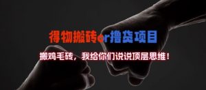 得物搬砖撸货项目?掰下数据，我给你们说说顶层思维【揭秘】-葛仙仙资源库