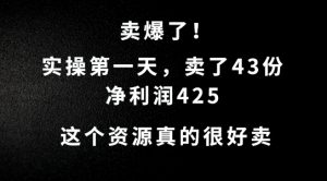 这个资源,需求很大,实操第一天卖了43份,净利润425【揭秘】-葛仙仙资源库