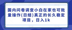国内问卷调查小白在家也可批量操作(日结)真正的长久稳定项目,日入1k【揭秘】-葛仙仙资源库