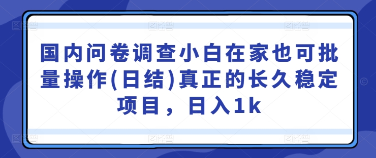 国内问卷调查小白在家也可批量操作(日结)真正的长久稳定项目，日入1k【揭秘】-葛仙仙资源库