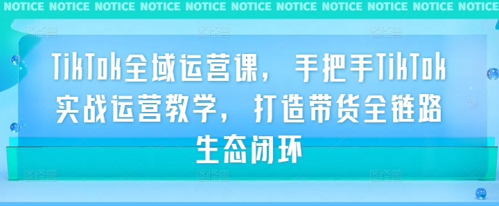 TikTok全域运营课，手把手TikTok实战运营教学，打造带货全链路生态闭环-葛仙仙资源库
