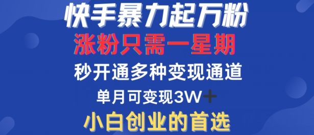 快手暴力起万粉，涨粉只需一星期，多种变现模式，直接秒开万合，单月变现过W【揭秘】-葛仙仙资源库