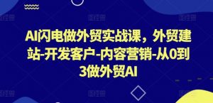 AI闪电做外贸实战课，​外贸建站-开发客户-内容营销-从0到3做外贸AI（更新）-葛仙仙资源库