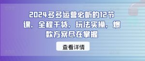 2024多多运营必听的12节课，全程干货，玩法实操，爆款方案尽在掌握-葛仙仙资源库