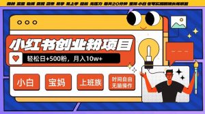 小红书创业粉项目日+500粉,每天20分钟躺赚长尾收益,无脑操作,宝妈,小白抓紧冲【揭秘】-葛仙仙资源库