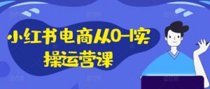 小红书电商从0-1实操运营课,小红书手机实操小红书/IP和私域课/小红书电商电脑实操板块等-葛仙仙资源库