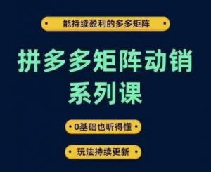 拼多多矩阵动销系列课，能持续盈利的多多矩阵，0基础也听得懂，玩法持续更新-葛仙仙资源库