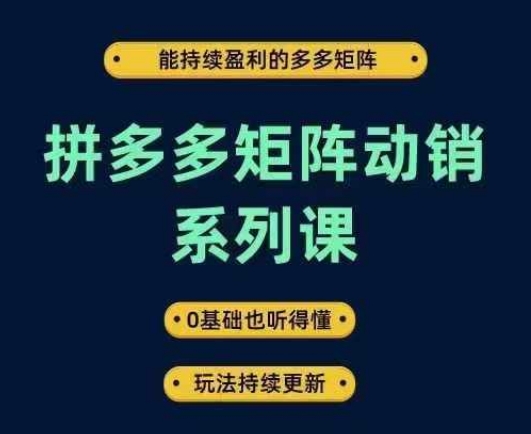 拼多多矩阵动销系列课，能持续盈利的多多矩阵，0基础也听得懂，玩法持续更新-葛仙仙资源库