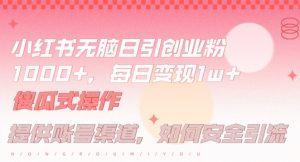 小红书无脑每日引流创业粉500+，小白每天只花半小时，躺赚长尾收益【揭秘】-葛仙仙资源库