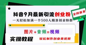 抖音9月最新引流创业粉,轻松制作创业类视频,一天轻松加满一个500人精准创业粉群【揭秘】-葛仙仙资源库