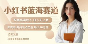 小红书蓝海赛道,圈中高端职场人,月入无上限,可矩阵,内含私域实操教程!-葛仙仙资源库