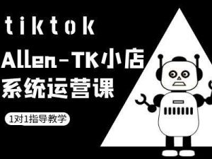 TK小店系统运营课-tiktok跨境电商教程-葛仙仙资源库