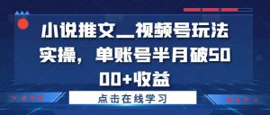 小说推文—视频号玩法实操,单账号半月破5000+收益-葛仙仙资源库