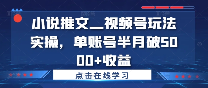 小说推文—视频号玩法实操，单账号半月破5000+收益-葛仙仙资源库