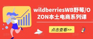 wildberriesWB野莓/OZON本土电商系列课，掌握WB产品优化，出单技巧和订单处理等-葛仙仙资源库