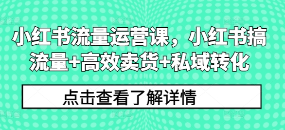 小红书流量运营课，小红书搞流量+高效卖货+私域转化-葛仙仙资源库