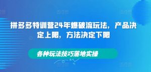 拼多多特训营24年爆破流玩法，产品决定上限，方法决定下限，各种玩法技巧落地实操-葛仙仙资源库