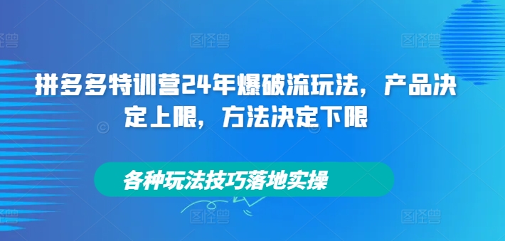 拼多多特训营24年爆破流玩法，产品决定上限，方法决定下限，各种玩法技巧落地实操-葛仙仙资源库